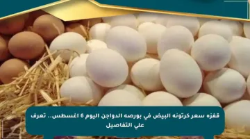 قفزة سعر كرتونة البيض في بورصة الدواجن اليوم 6 أغسطس.. تعرف على التفاصيل